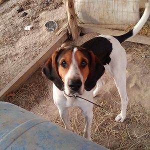 Meet your Posher, Jordan